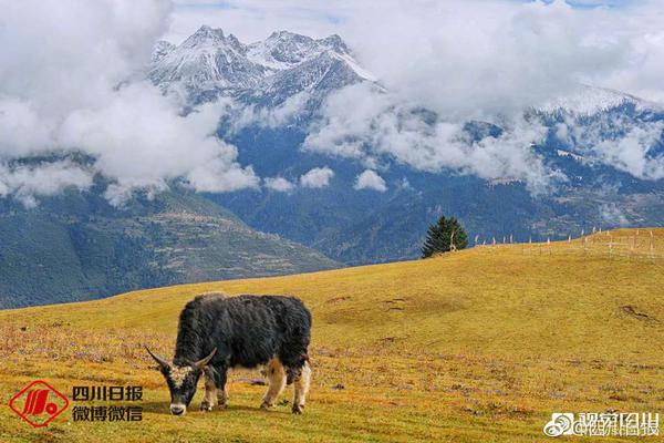 观看蘑菇-咬小头头原版观看蘑菇最新九游会真人游戏第一品牌咬小头头原版(图2)